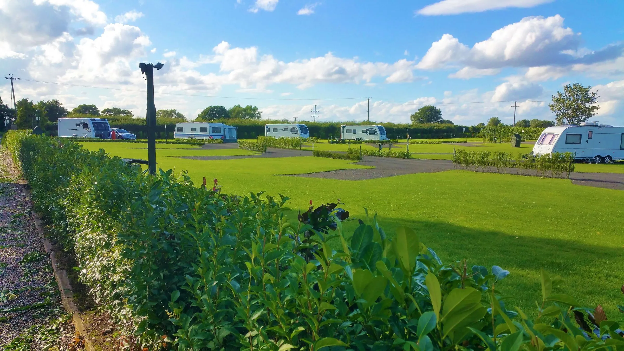 Caravans on pitches behind low hedges on a sunny day